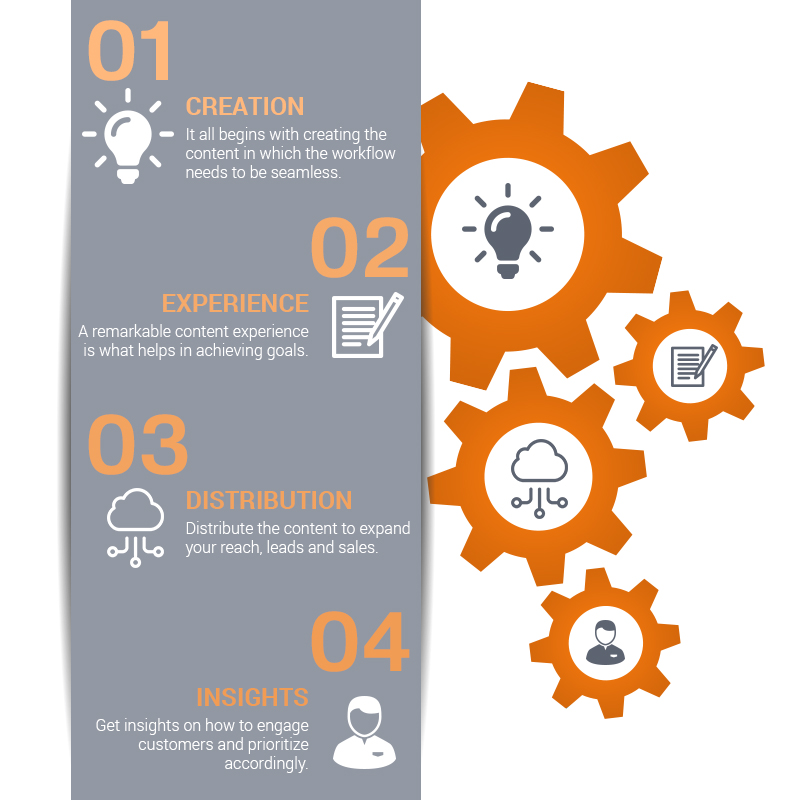 Social Media Marketing Strategy by Netsmartz