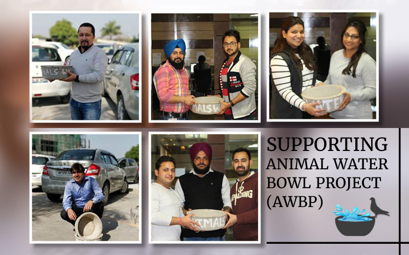 CSR Activities