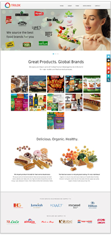 Responsive Web Design for Trilok